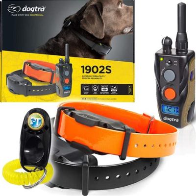 What is the Best Dog Training Collar: A Detailed Analysis with Multiple Perspectives